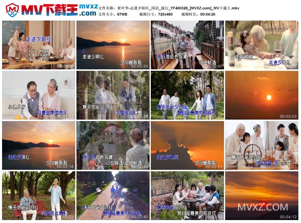 崔叶华-走进夕阳红_国语_流行_YF400328